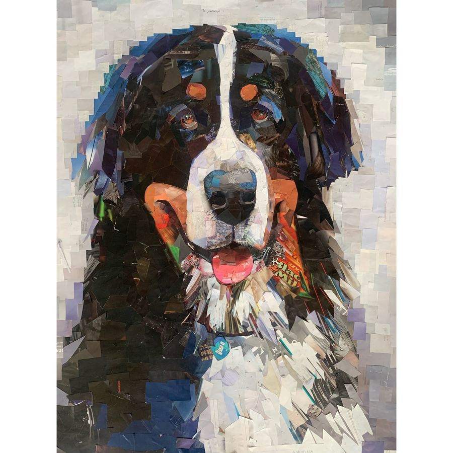 Custom pet portrait collage of a Bernese mountain dog