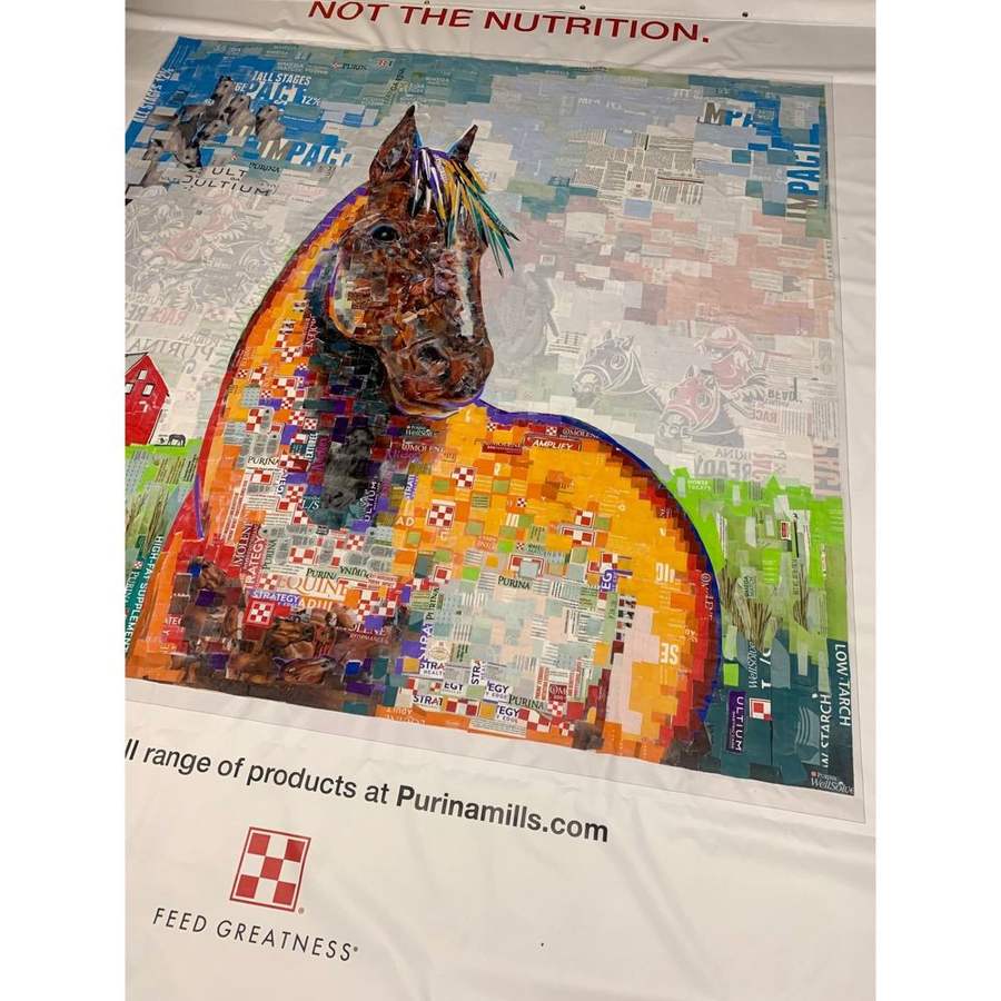 Purina horse collage